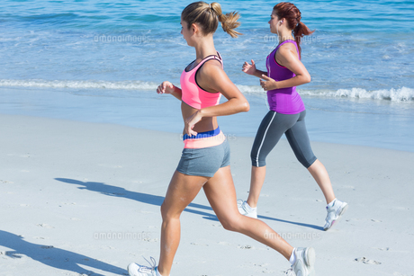 Friends doing jogging together FYI00006851 Friends doing jogging together FYI00006851