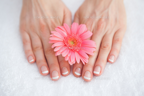 Flower on french manicured fingers at spa center FYI00488760 Flower on french manicured fingers at spa center FYI00488760